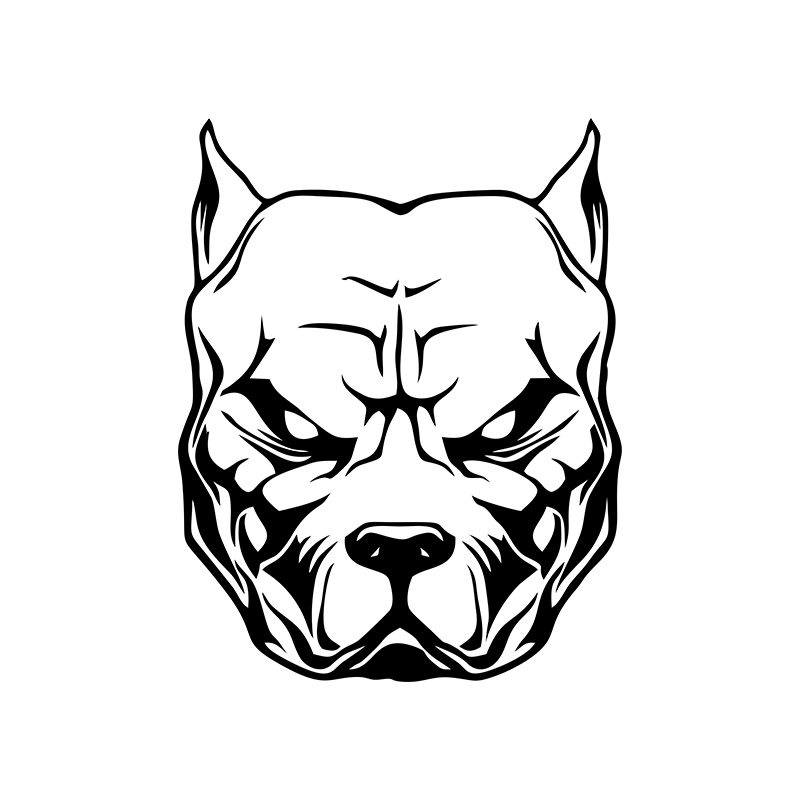 Motorrad Aufkleber Hund Muster – Motorcycle Gear For Dogs Bewertung und Preis