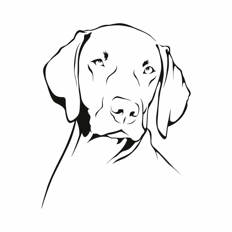 Weimaraner-Hund Umriss Wasserd – Motorcycle Gear For Dogs Bewertung und Preis