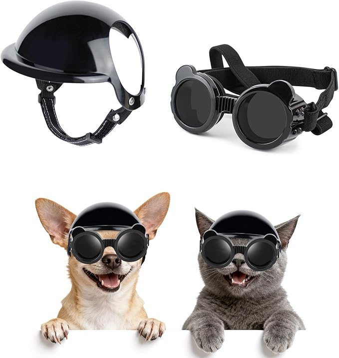Katzen-Motorradhelm Hunde-Wass – Motorcycle Gear For Dogs Bewertung und Preis