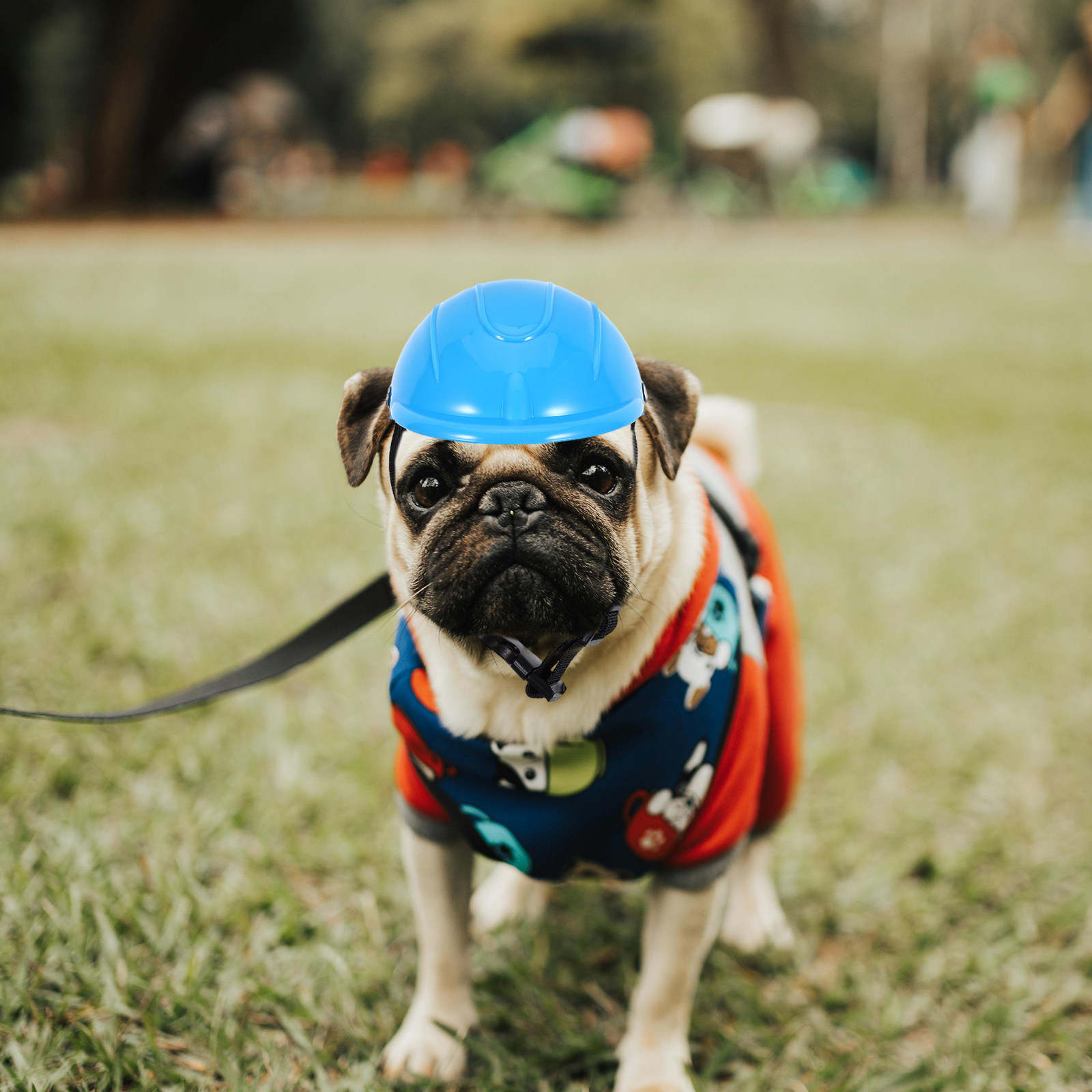 Verstellbarer Sicherheitshelm  – Motorcycle Gear For Dogs Bewertung und Preis