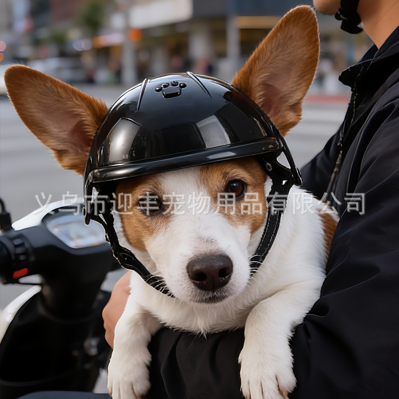 Rosa Motorrad-Haustierhelm mit – Motorcycle Gear For Dogs Bewertung und Preis