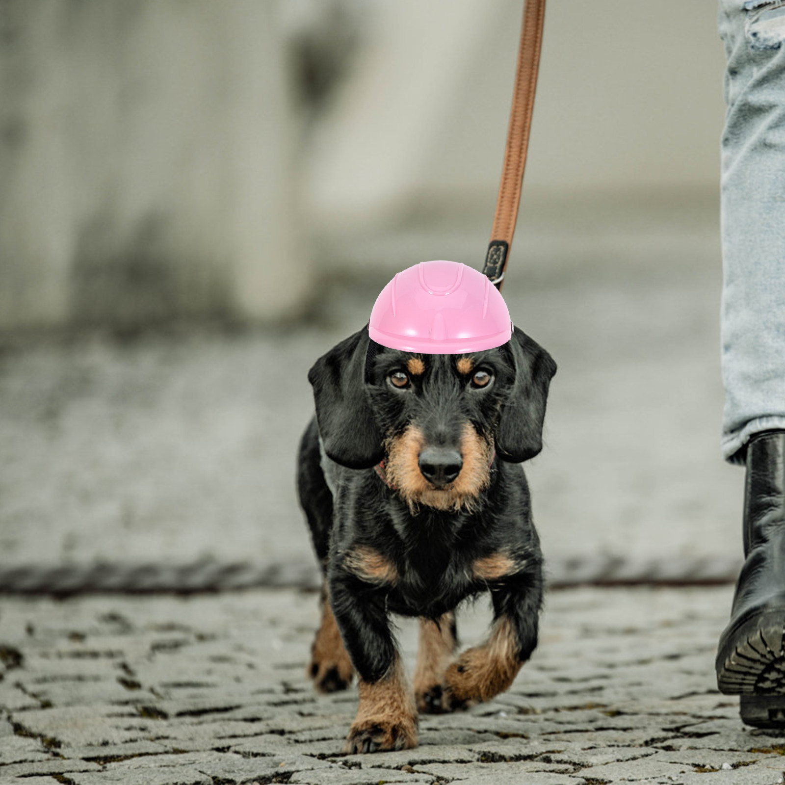 Verstellbarer Sicherheitsschut – Motorcycle Gear For Dogs Bewertung und Preis