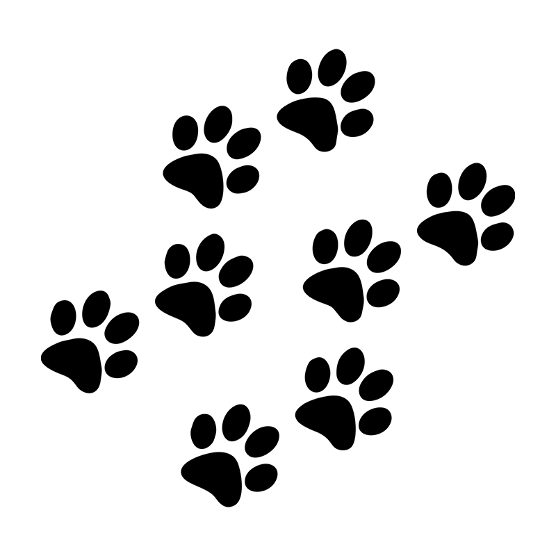 1 Stück Katzenpfoten-Autoaufkl – Motorcycle Gear Auto Bewertung und Preis